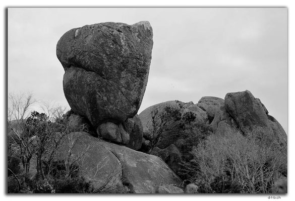 AU0822.Albany.Torndirrup N.P.Stony Hill