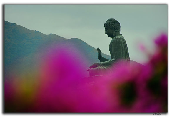 HK0025.Big Buddha