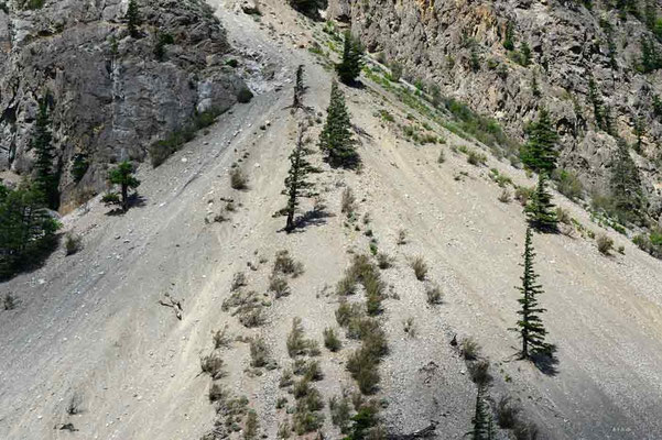 CA0173 Seton Lake