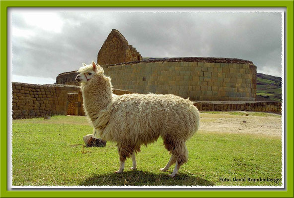 71.Ingapirca,Ecuador