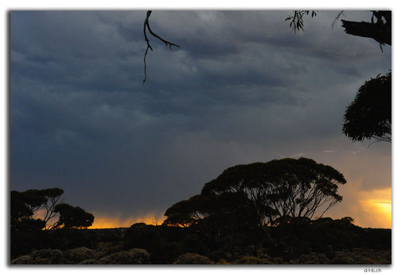 AU0958.222k.Gewitter mit Blitz