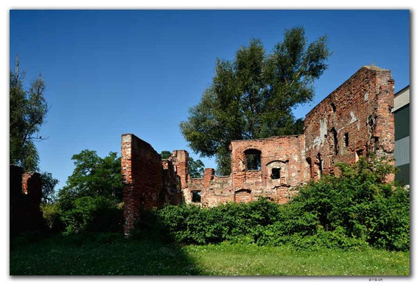 PL252.Elblag.Klosterruinen