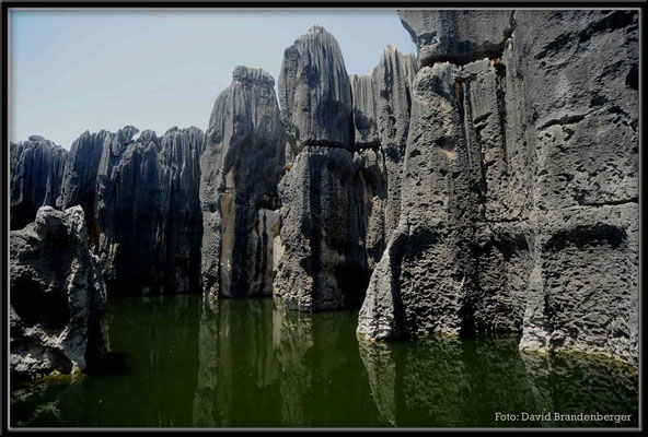 C0852Stone Forest