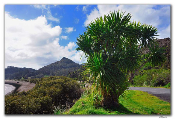 NZ0067.Tokatoka Peak