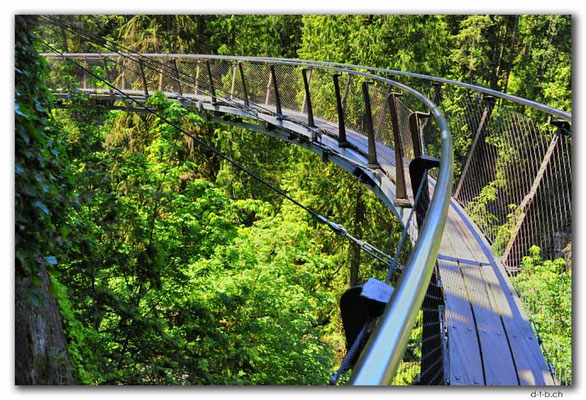 CA0519.Vancouver.Capilano Cliffwalk