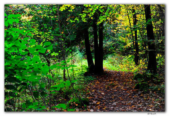 CA1004.Weedon.Parc du vieux moulin