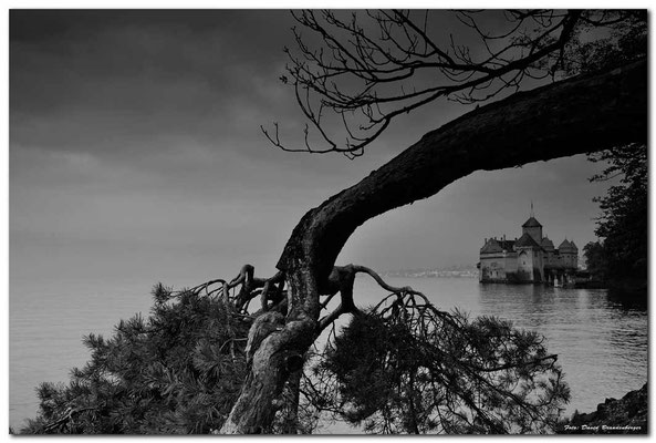 A0722.Château de Chillon.CH