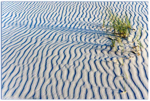 DE109.Amrum.Sandmuster