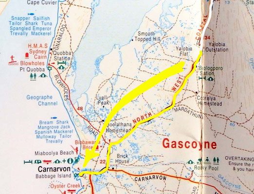 Tag 332: Lake McLeod (Yalobia) Rest Area - Carnarvon