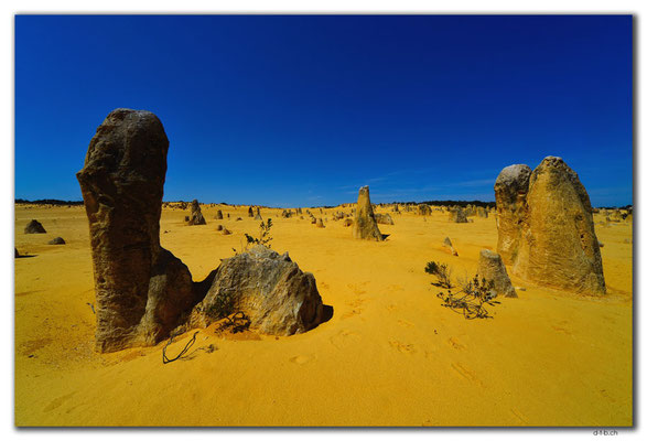 AU0583.Nambung N.P.Pinnacles
