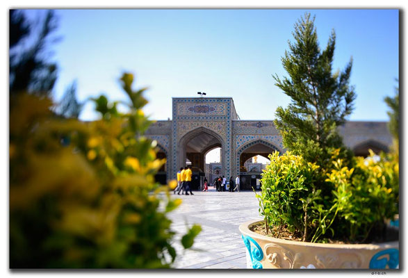 IR0388.Mashhad.Holy Shrine