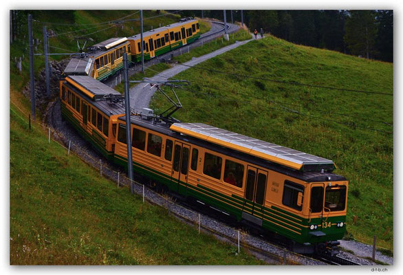 GW0424.Wengernalpbahn
