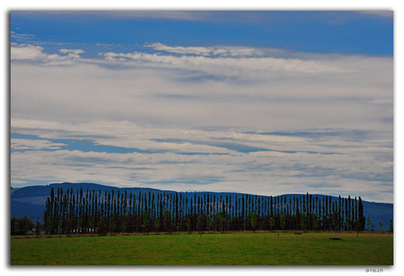 NZ0827.Merino Downs