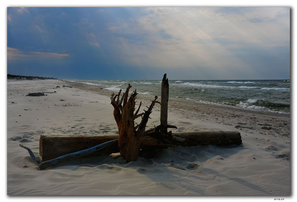 PL292.Leba,Strand