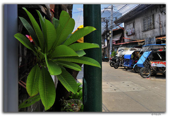 PH0139.Manila.Backroad