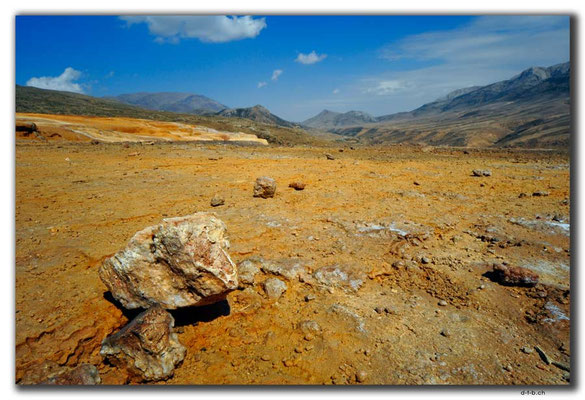 IR0295.Badab Soort