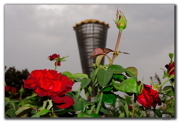 KZ0011.Shymkent.Altyn Shanyrak