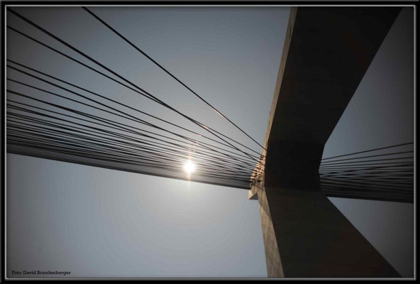 C1504 Donghai Bridge