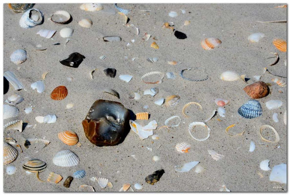 DE100.Amrum.Sandmuster