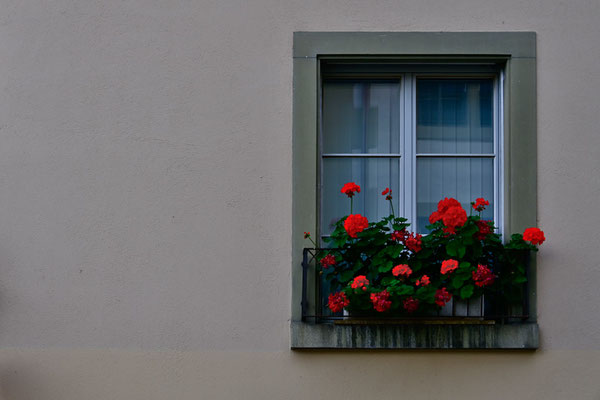 Schweiz.Bern5