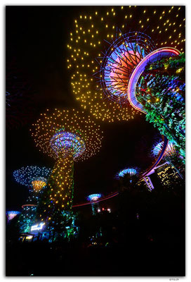 SIN0076.Gardens by the Bay.Supertrees Lightshow