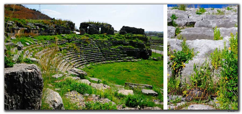 TR0273.Limyra.Theater,einziger Besucher