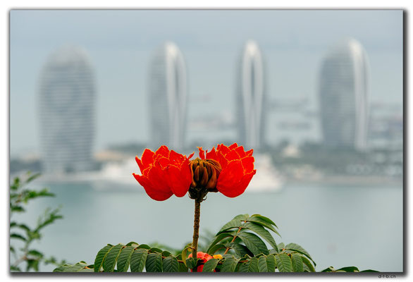 CN0463.Sanya.Phoenix Island
