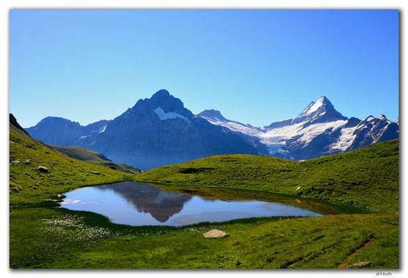 GW0358.Wetterhorn im Bergseespiegel