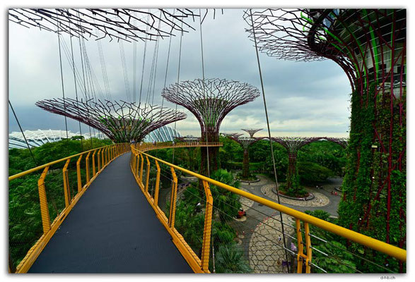 SIN0108.Gardens by the Bay.Supertrees