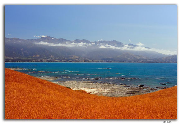 NZ0704.Kaikoura.Peninsula.Sea and Mountains