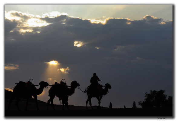 CN0098.Dunhuang.Camels