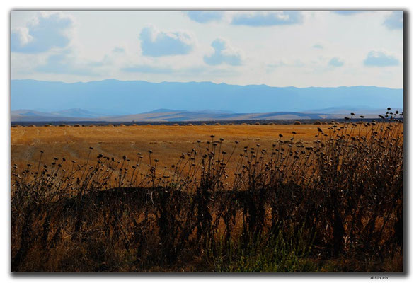 AZ104.Steppe