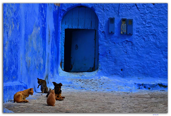MA0399.Chefchaouen