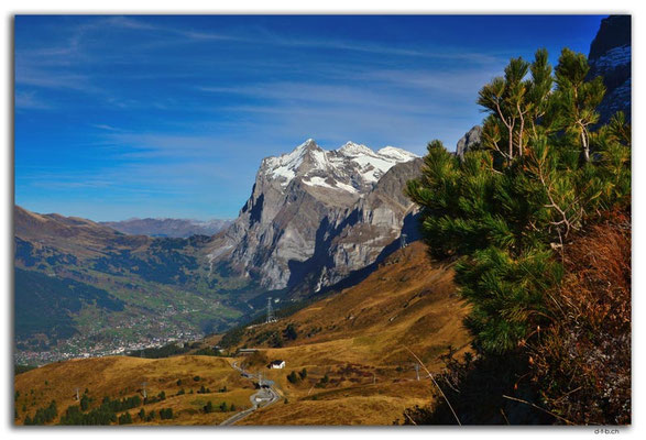 GW0477.Wetterhorn und Grindelwald