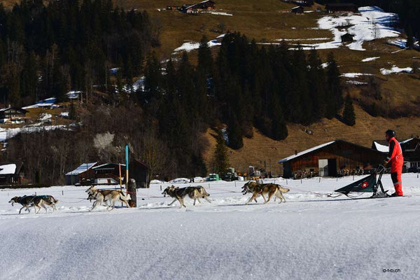 CH1363.SH-Rennen Lenk.