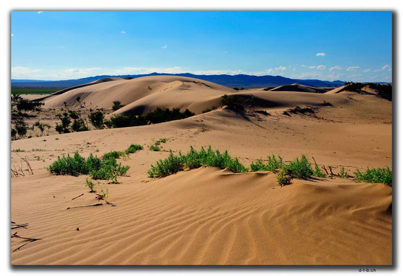 MN0046.Elsen Tasarkhai.Kleine Gobi