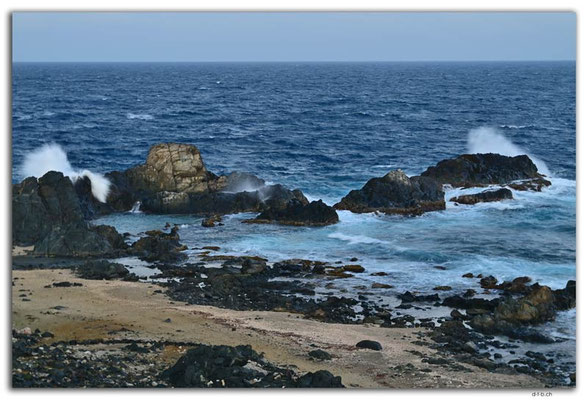 AW0036.Conchi Natural Pool