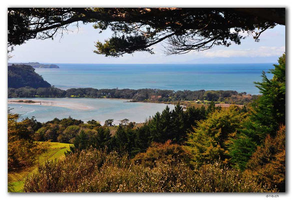NZ0230.Puhoi River