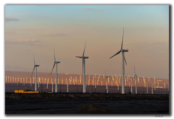 CN0038.Windpark am Abend