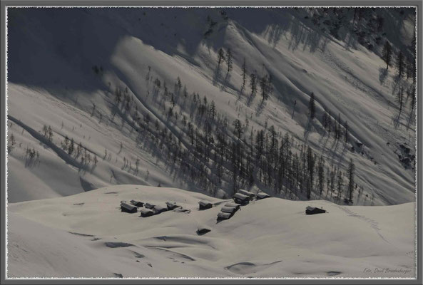 A0343.Alp im Schanfigg.CH