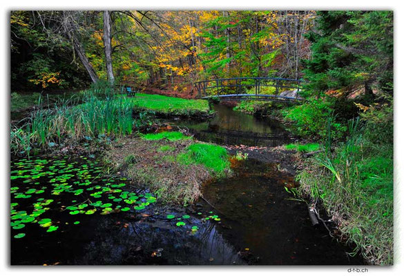 CA1003.Weedon.Parc du vieux moulin