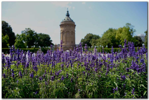 DE004.Mannheim.Wasserturm