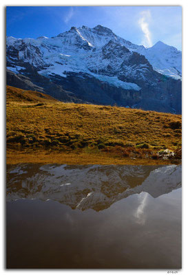 GW0481.Jungfrau mit Bergsee