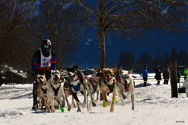 CH1357.SH-Rennen Lenk.Stettler Fabio