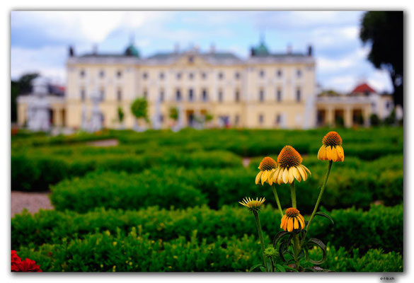 PL191.Bialystok.Palastgarten