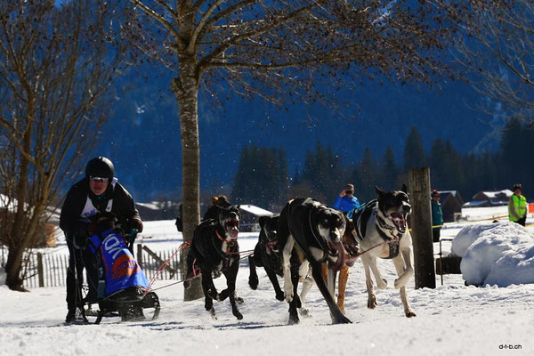 CH1352.SH-Rennen Lenk.Schnydrig Olivier