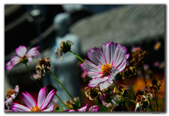 CN0343.Xuanhua.Buddhatempel