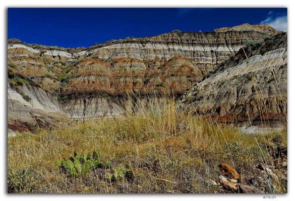 CA0739.Horsethief Canyon