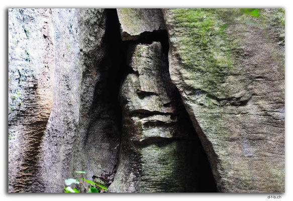 NZ0556.Labyrinth Rocks.The Indian's Face