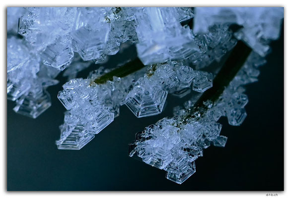 GW0615.Eiskristalle